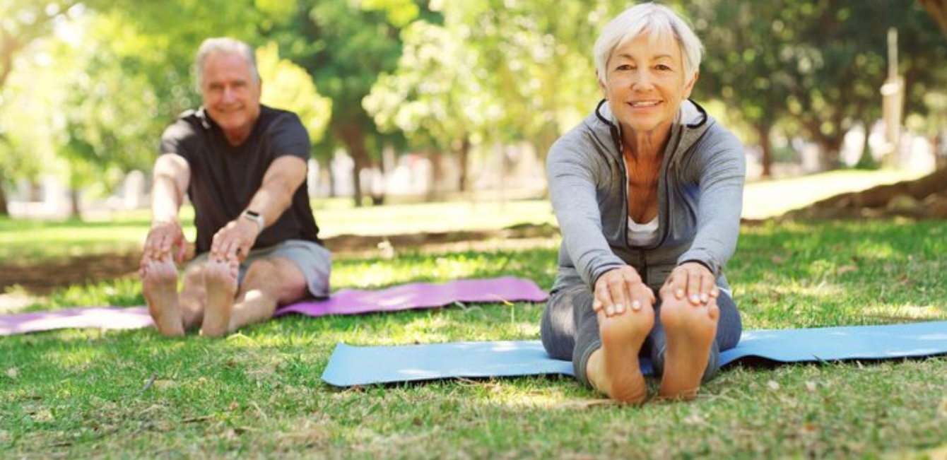 Kinesiología Adulto Mayor